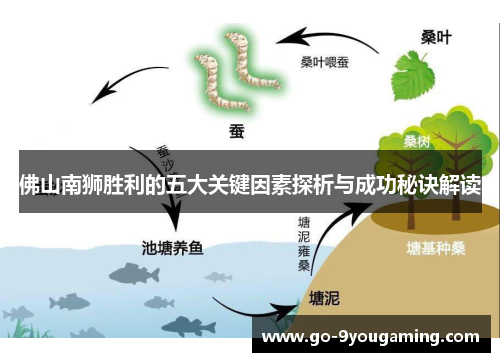 佛山南狮胜利的五大关键因素探析与成功秘诀解读