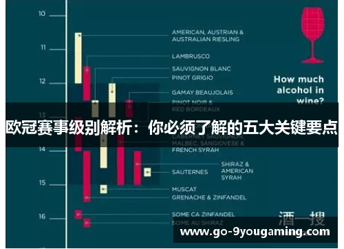 欧冠赛事级别解析：你必须了解的五大关键要点