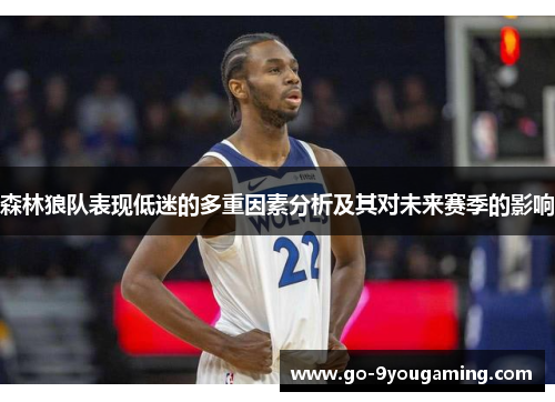 森林狼队表现低迷的多重因素分析及其对未来赛季的影响